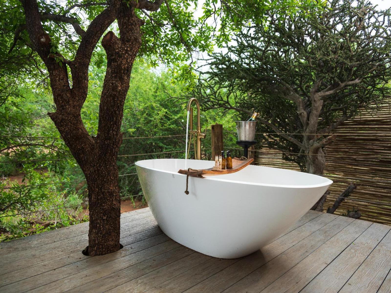 Mbazo Safari Collection Pilanesberg Quarto foto